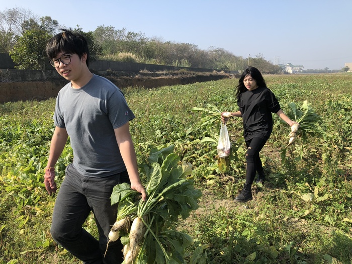 農場拔蘿蔔體驗