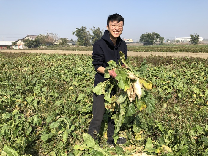 農場拔蘿蔔體驗